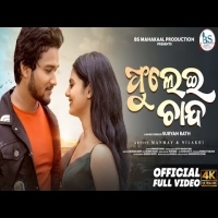 Phulei Chanda  Odia Romantic Song  Manmay Dey & Nilakhi Patra