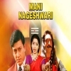 Mani Nageswari (1995)