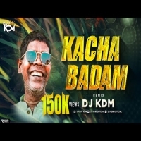 Kacha Badam  Viral Song  Dj KDM