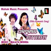 Pakastalire  Butterfly  Odia Romantic Dance Song