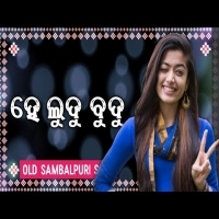 Ludu Budu Hey Ludu Budu Sambhalpuri  Old Hits Mp3 Song