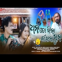 Dhana To Bina Jibana Suna  Odia New Mp3 Song  Papu Pom Pom