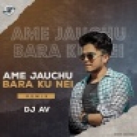 AME JAUCHU BARA KU NEII (TRANCE REMIX ) DJ AV
