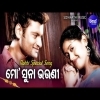 Mo Suna Bhouni   Viral Rakhi Special Song   Udit NarayanNibedita  