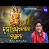 Tume Bighnabinashana Gajanana   Odia New Ganesh Bhajan Song By Siba Nana