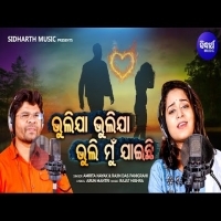 Bhulijaa Bhuli Mun Jaichi  Amrita Nayak, Rajin Das Panigrahi Romantic Sad Song