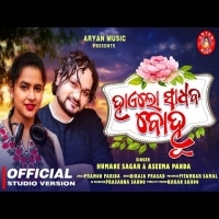 Hai Lo Sadhaba Bohu Humane Sagar ,Asima Panda   Odia New Romantic Viral  Song  2022