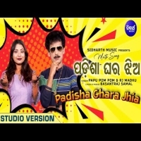 Padisha Ghara Jhia   Papu Pom Pom  RJ Madhu  New Album Song