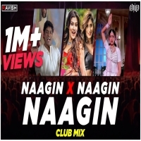 Naagin X Naagin  Belichi Nagin Nighali (Remix)   DJ Ravish & DJ Chico