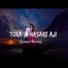 Tora A Hasa Re Aji  Romantic song  odia lofi song Slowed  Reverb Song
