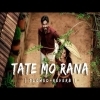 Tate Mo Rana   Slowed  Reverb   Old Lofi Song 
