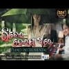 Bhijei Dei ja thare  Odia Song  Instrumental cover  Sambit Kumar