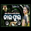 Jai Phula Re   Odia Instrumental Music  
