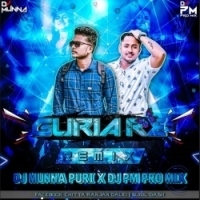 GURIA RE (REMIX) DJ MUNNA PURI X DJ PM PRO