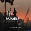 Mohabbat Hai (Cover) Slowed Reverb    JalRaj