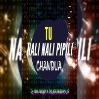 TU NALI NALI PIPILI CHANDUA (EDM X TAPURI) DJ RM RAJU X DJ JEEBAN JS