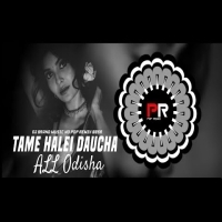 TAME HALEI DAUCHA   VIRAL SONG (TAPORI EDM MIX) DJ BRAND MUSIC ND POP REMIX BBSR 