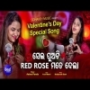 Sei Puati Red Rose Mate Dela  Asima Panda Romantic Song