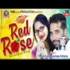 Red Rose (Prakash Jal, Swarupa)New Sambalpuri Song 2021