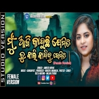 Mu Aji Kanduchi Jemiti Tu Kali Kandibu Semiti   Female   Amrita Nayak   Odia Sad Song